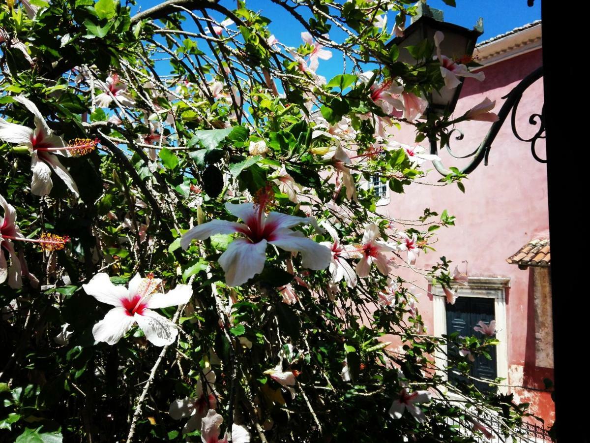 Venetian Well Cozy Apartment Corfu Old Town Exteriör bild